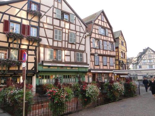 Historical town center cosy flat — Hotel in Colmar