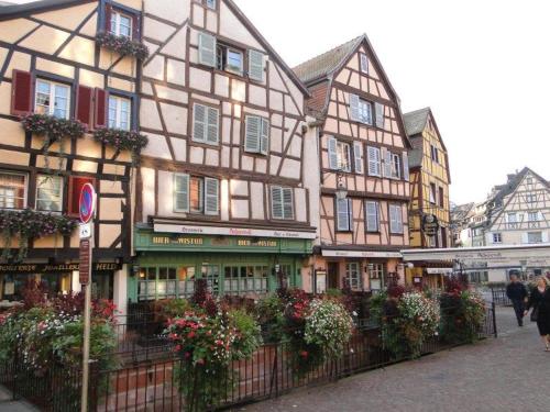 Historical town center cosy flat - Location saisonnière - Colmar