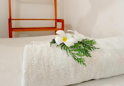 Hikkaduwa backyard beach homestay in Hikkaduwa