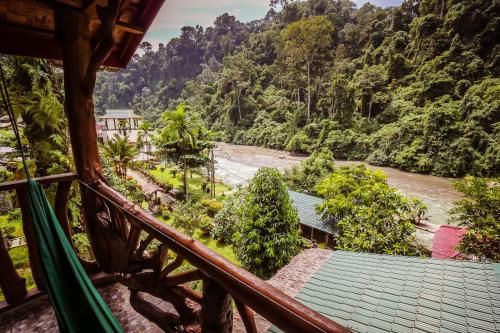 Garden Inn in Bukit Lawang