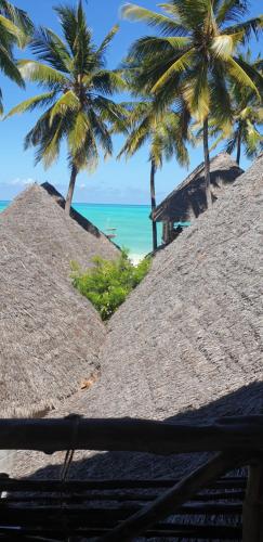 Organic Roots Villa