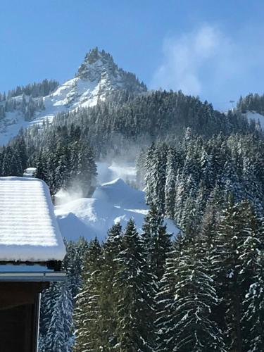 Chalet Mia in Wängle bei Reutte