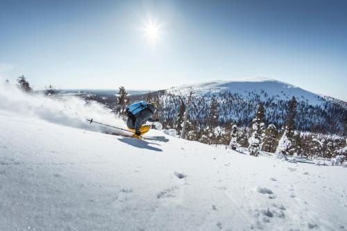 Lapland Hotels Sirkantähti