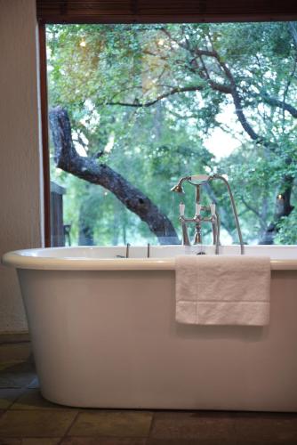 Shumbalala Game Lodge Shumbalala Game Lodge