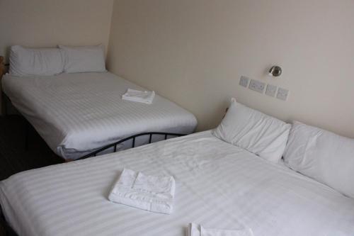 Daisy Hotel - image 12