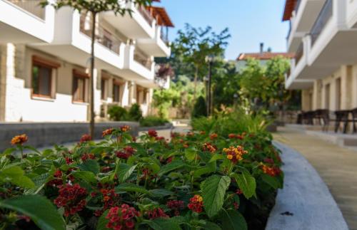  Apanemia by Flegra Hotels in Pefkochori