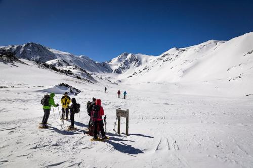 Le Chalet du Ticou