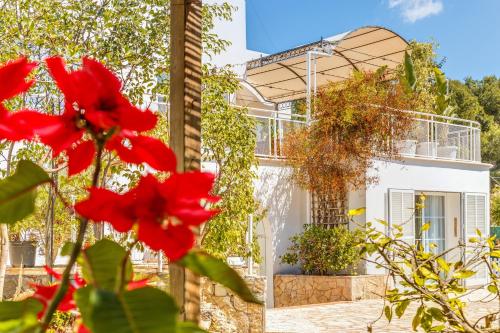 Villa Bellver - main image