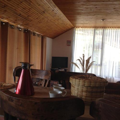 Cabanas Refugio del cerro in Llano Alarcon-Aquitania