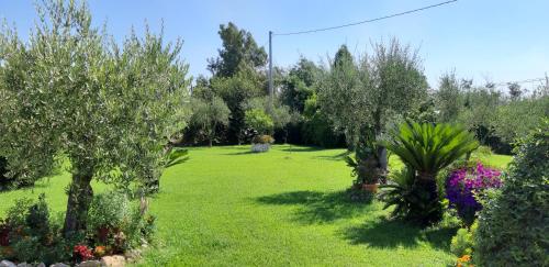 Casale Del Borgo - image 14