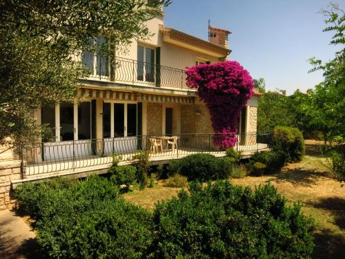 Maison lumineuse et spacieuse avec jardin arboré - Accommodation - La Valette-du-Var