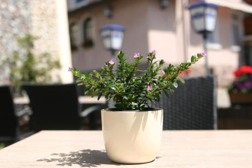 Hotel Restaurant Zum Hirschen - image 12