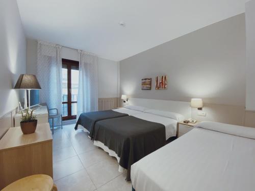 Hotel Río Arga (centro)