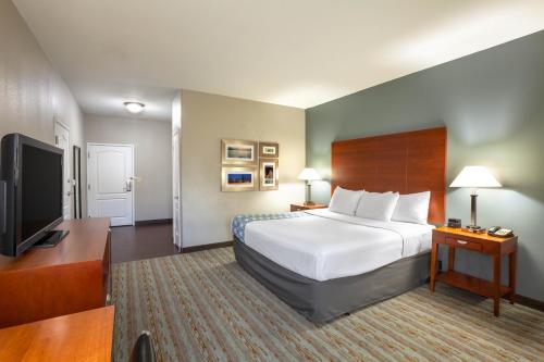 Comfort Inn & Suites - image 3