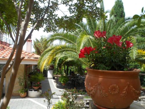 Bed and Breakfast El Dueño – Palinuro, UT