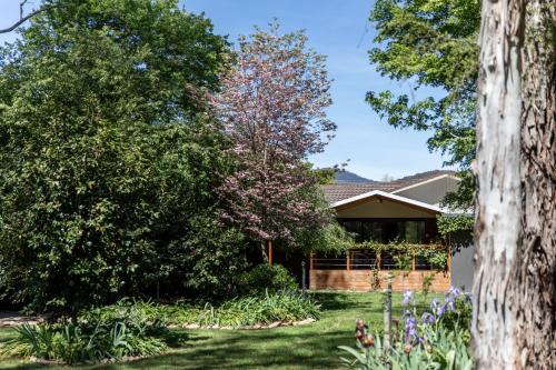 Nest House Bright - Myrtleford