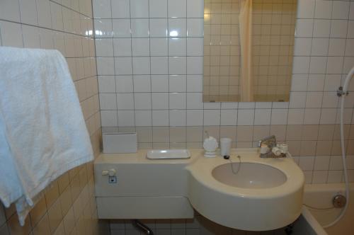 Double or Twin Room with Mountain View