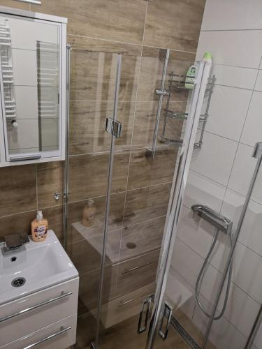 ห้องน้ำ, Świnoujscie Warszów Apartment (Swinoujscie Warszow Apartment) in การ์ซิบูร์