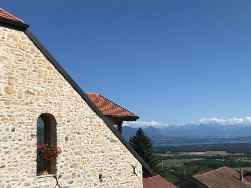 Les Lumières de Genève