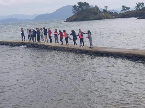 Sponavik Camping