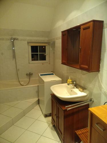 Bathroom, Amalie Vila 1921 secesni nostalgie in Lazce