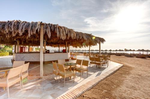 TUI MAGIC LIFE Kalawy in Safaga