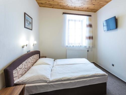 EA Horský Hotel Hájenka - image 10