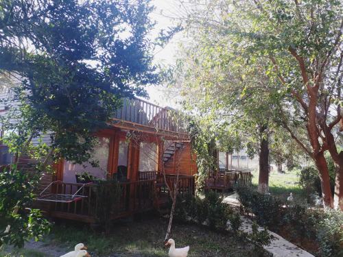 Otantik Tas Ev - image 8