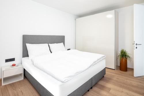 lake and mountains appartements in Dechanshofen