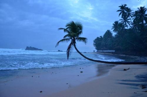 Greenery Lanka Villa