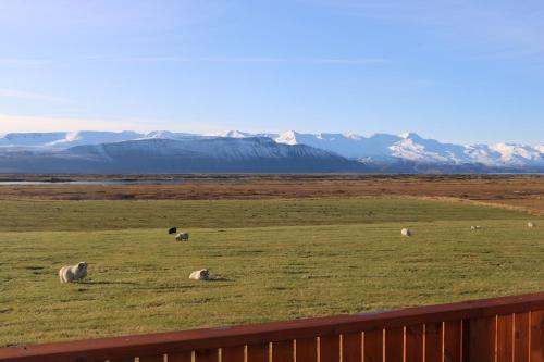 周邊環境, Laxhús (Laxhus) in 胡薩維克