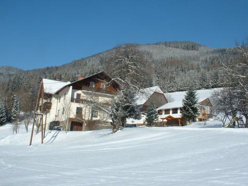 Bauernhof Marx - Hotel - Gaal