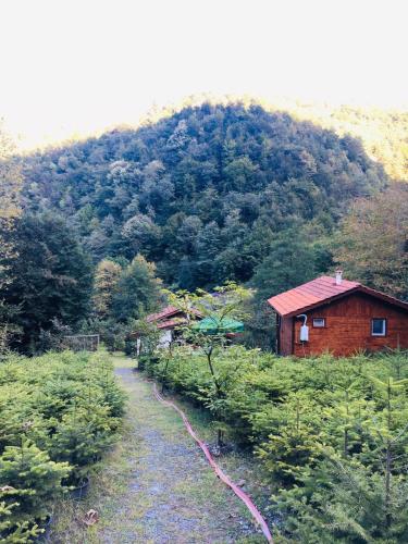  Kartal Vadisi Dağ Evleri in Sapanca
