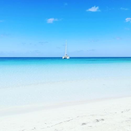 TOGA GUEST HOUSE – Port Antonio