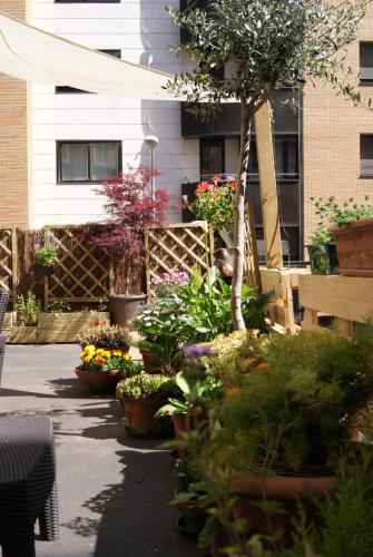 Aloha Hostel - image 3