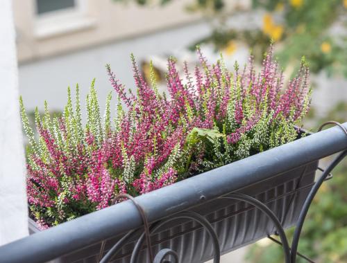 balkon/terras, Аpartment Gem in Centre of Sandanski in Sandanski