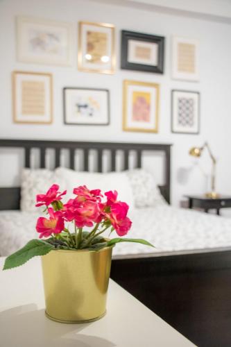 Travel & Live Hostel – Porto, KY