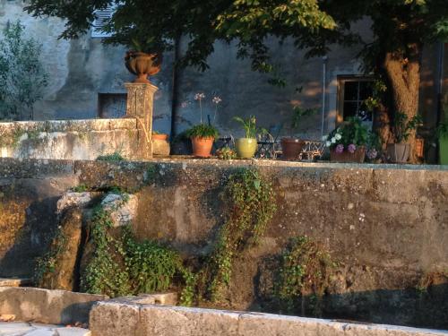 B&b Guest House Domaine le Clos du Pavillon Provence - image 2