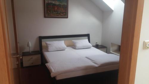Central Apartman Sopron - image 3