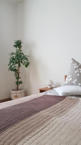 Tópart Apartman - image 2