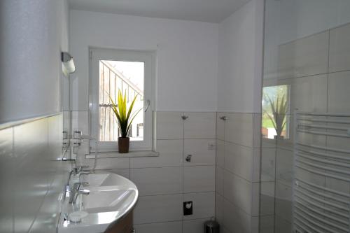 Tischlmühle Appartements & mehr