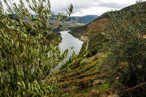 Quinta de Merouço - Casa do Rio