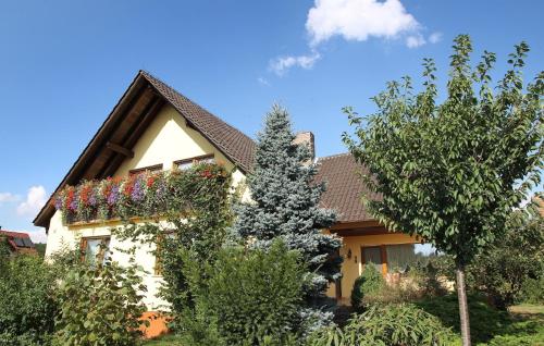 Accommodation in Kolitzheim