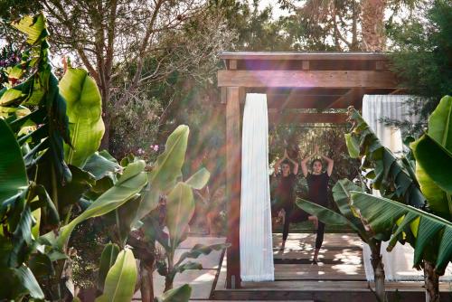 Phāea Cretan Malia, a Member of Design Hotels