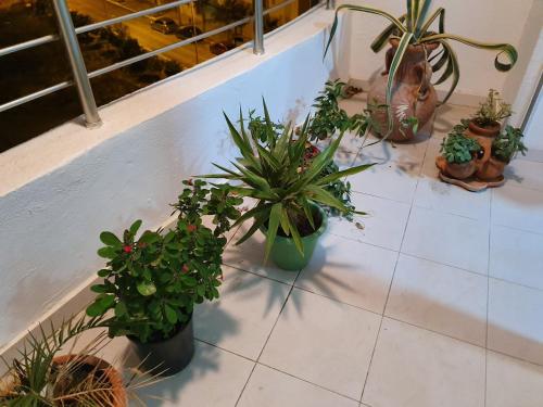 Luxury and Splendid 2 Bedrooms Apartment in Jardin De Carthage Tunis in Jardins De Carthage