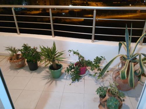 Luxury and Splendid 2 Bedrooms Apartment in Jardin De Carthage Tunis in Jardins De Carthage