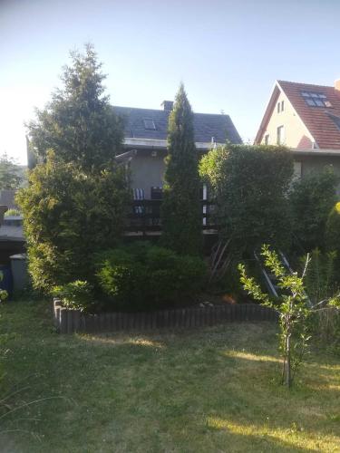 Ferienwohnung Harz Moni Werner - image 11