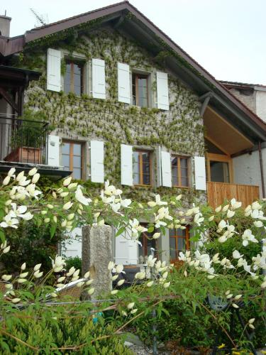 Wonderlandscape Guest House - image 10