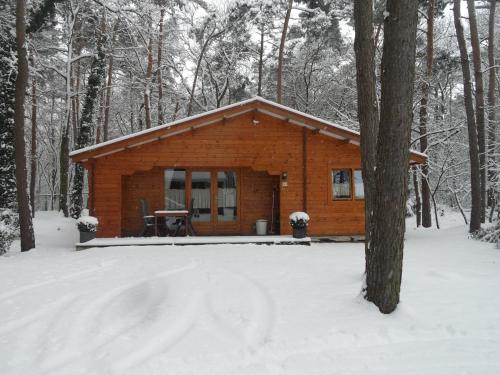 Motel- Bungalow-& Chaletpark de Brenkberg - image 5