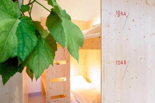 The Green Elephant Hostel & SPA - image 6